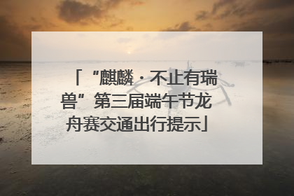 “麒麟・不止有瑞兽”第三届端午节龙舟赛交通出行提示
